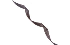 лента нитепрошивная 10мм цв черный (рул 100м) danelli l4yp44 купить по 148 - в интернет - магазине Веллтекс | Тюмень
.